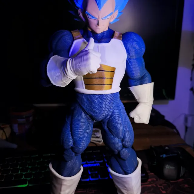 Shimaewill 3D